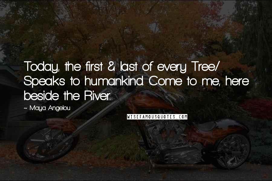 Maya Angelou Quotes: Today, the first & last of every Tree/ Speaks to humankind. Come to me, here beside the River.