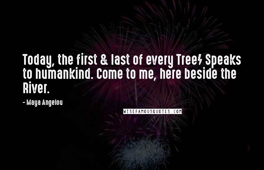 Maya Angelou Quotes: Today, the first & last of every Tree/ Speaks to humankind. Come to me, here beside the River.