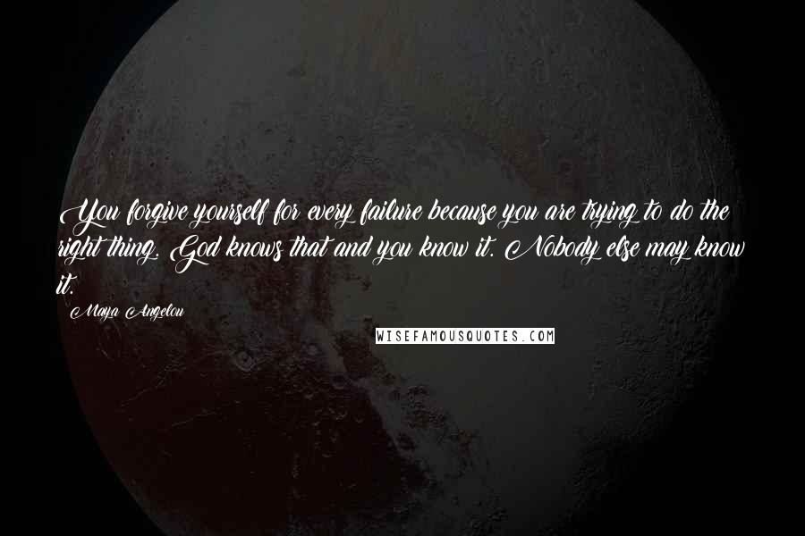 Maya Angelou Quotes: You forgive yourself for every failure because you are trying to do the right thing. God knows that and you know it. Nobody else may know it.