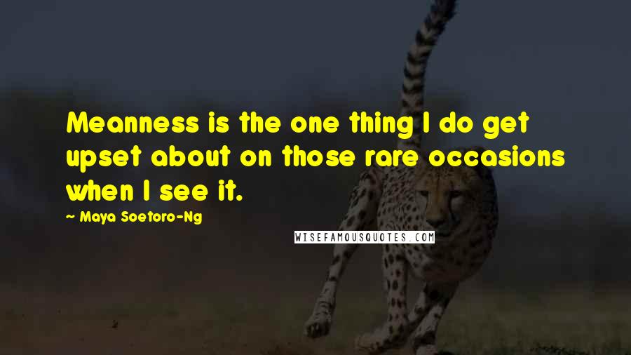 Maya Soetoro-Ng Quotes: Meanness is the one thing I do get upset about on those rare occasions when I see it.