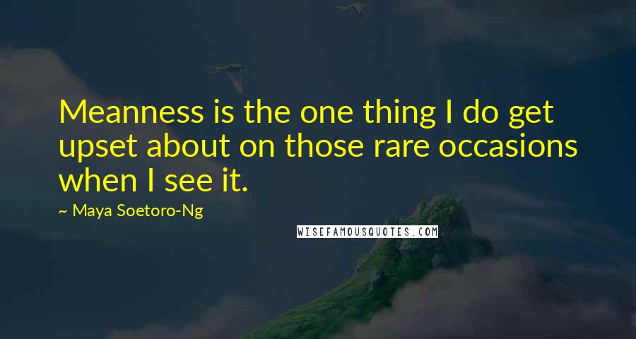 Maya Soetoro-Ng Quotes: Meanness is the one thing I do get upset about on those rare occasions when I see it.