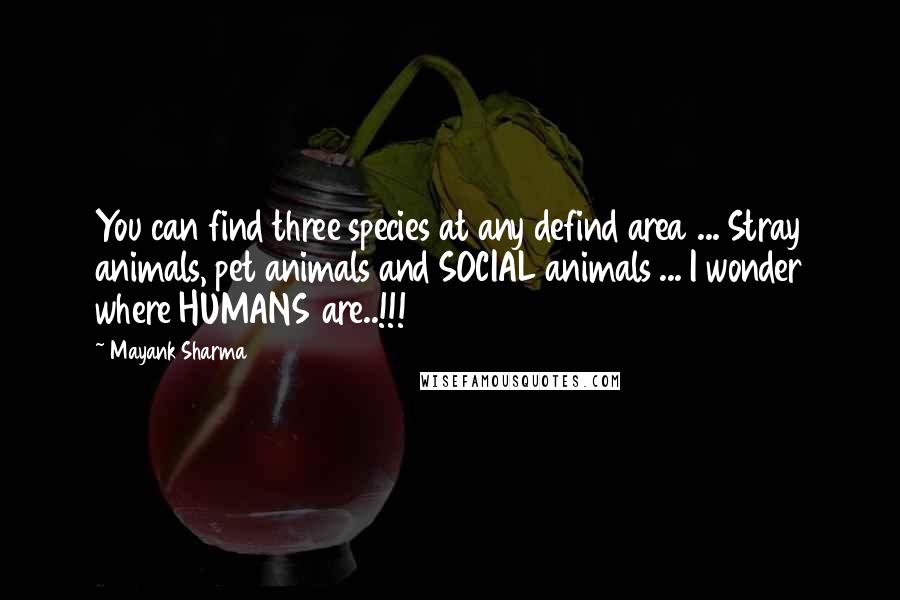 Mayank Sharma Quotes: You can find three species at any defind area ... Stray animals, pet animals and SOCIAL animals ... I wonder where HUMANS are..!!!