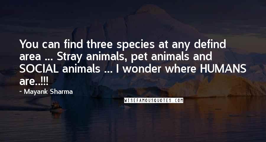 Mayank Sharma Quotes: You can find three species at any defind area ... Stray animals, pet animals and SOCIAL animals ... I wonder where HUMANS are..!!!