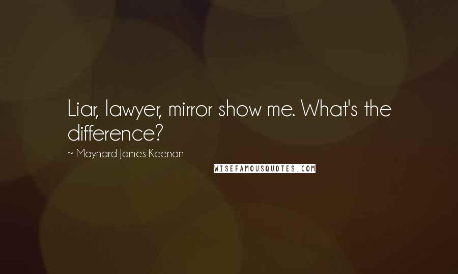 Maynard James Keenan Quotes: Liar, lawyer, mirror show me. What's the difference?