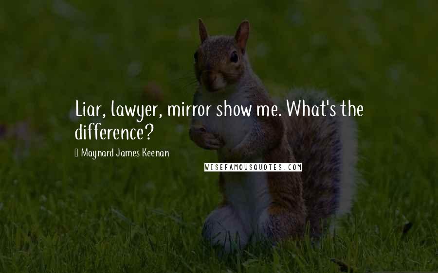 Maynard James Keenan Quotes: Liar, lawyer, mirror show me. What's the difference?