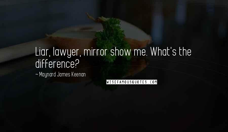 Maynard James Keenan Quotes: Liar, lawyer, mirror show me. What's the difference?