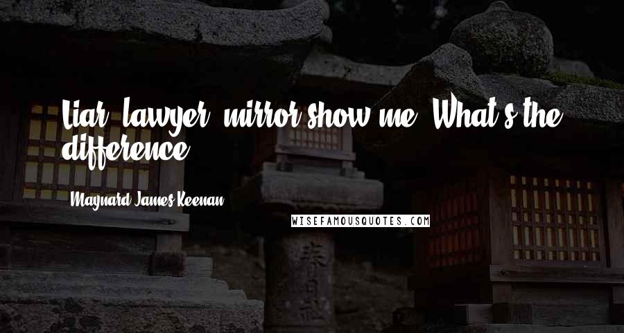 Maynard James Keenan Quotes: Liar, lawyer, mirror show me. What's the difference?