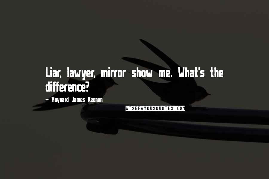 Maynard James Keenan Quotes: Liar, lawyer, mirror show me. What's the difference?