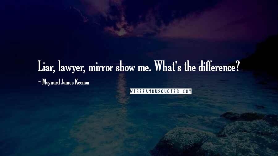 Maynard James Keenan Quotes: Liar, lawyer, mirror show me. What's the difference?