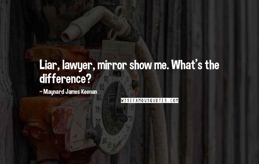 Maynard James Keenan Quotes: Liar, lawyer, mirror show me. What's the difference?