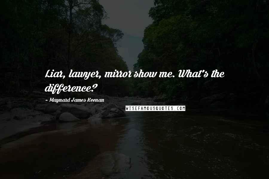 Maynard James Keenan Quotes: Liar, lawyer, mirror show me. What's the difference?