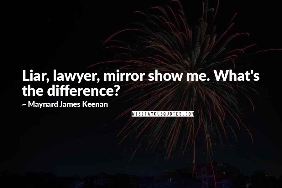 Maynard James Keenan Quotes: Liar, lawyer, mirror show me. What's the difference?