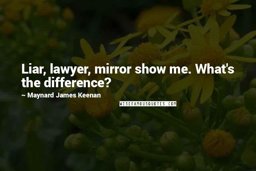 Maynard James Keenan Quotes: Liar, lawyer, mirror show me. What's the difference?