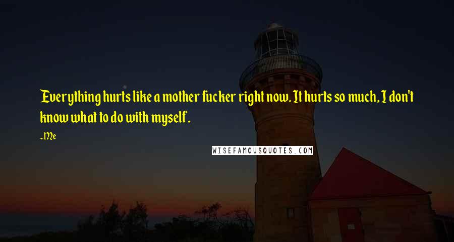 Me Quotes: Everything hurts like a mother fucker right now. It hurts so much, I don't know what to do with myself.