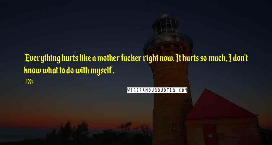 Me Quotes: Everything hurts like a mother fucker right now. It hurts so much, I don't know what to do with myself.