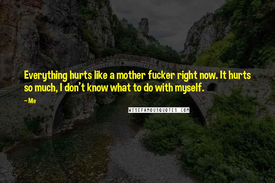 Me Quotes: Everything hurts like a mother fucker right now. It hurts so much, I don't know what to do with myself.
