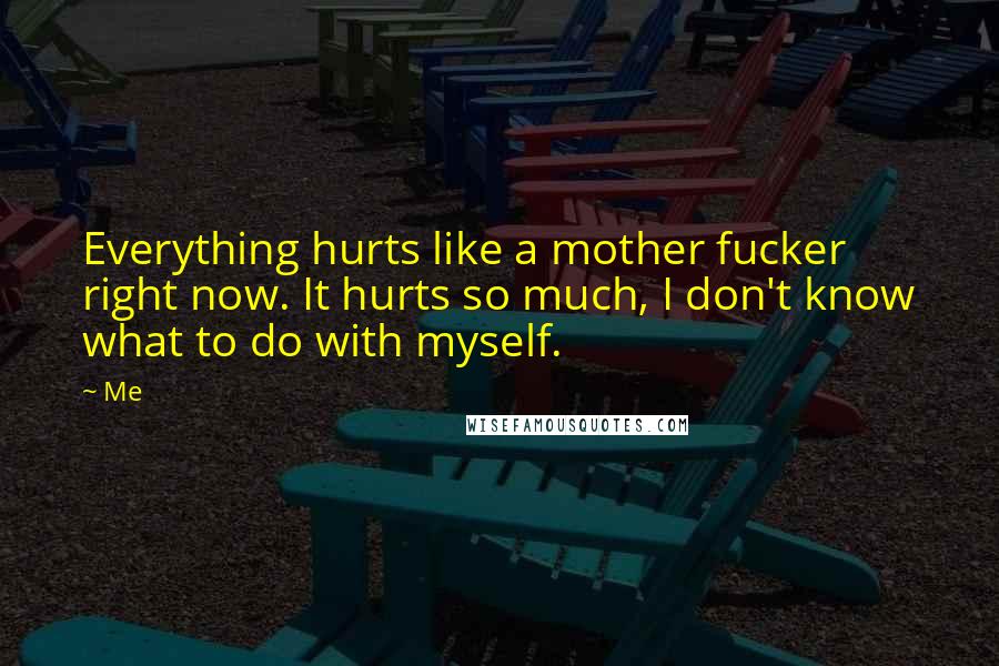 Me Quotes: Everything hurts like a mother fucker right now. It hurts so much, I don't know what to do with myself.