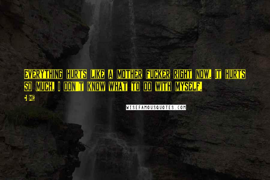 Me Quotes: Everything hurts like a mother fucker right now. It hurts so much, I don't know what to do with myself.