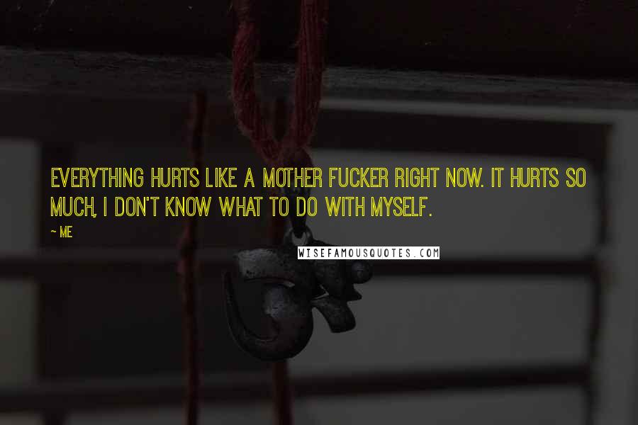 Me Quotes: Everything hurts like a mother fucker right now. It hurts so much, I don't know what to do with myself.