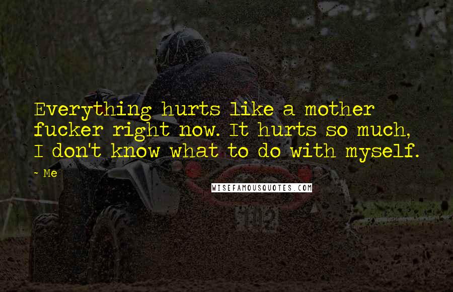 Me Quotes: Everything hurts like a mother fucker right now. It hurts so much, I don't know what to do with myself.