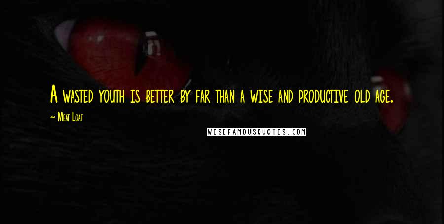 Meat Loaf Quotes: A wasted youth is better by far than a wise and productive old age.