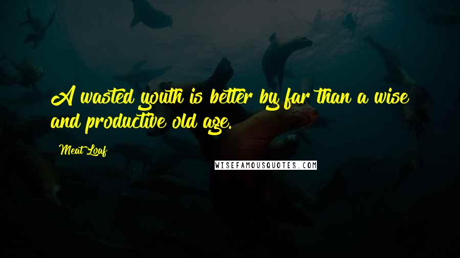 Meat Loaf Quotes: A wasted youth is better by far than a wise and productive old age.