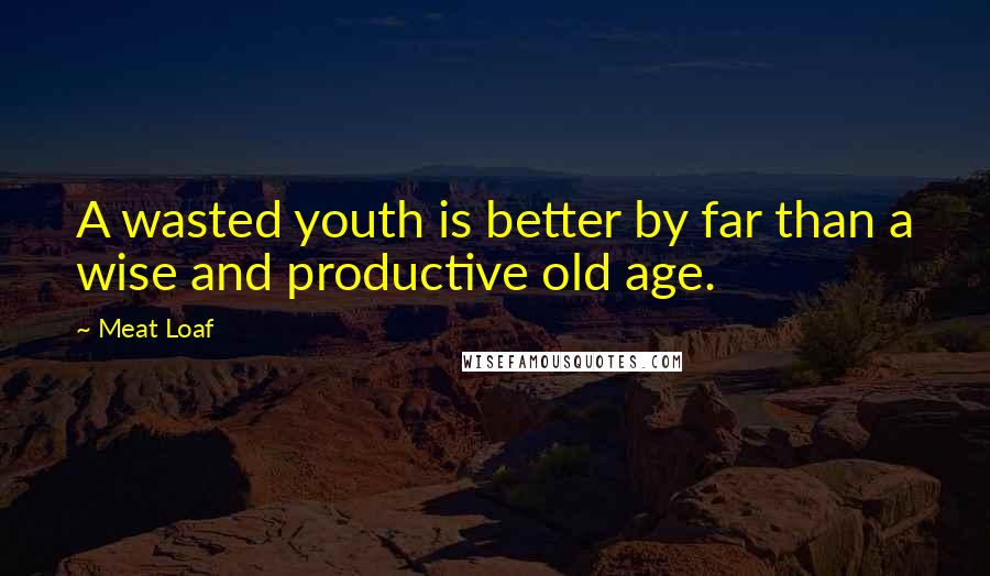 Meat Loaf Quotes: A wasted youth is better by far than a wise and productive old age.