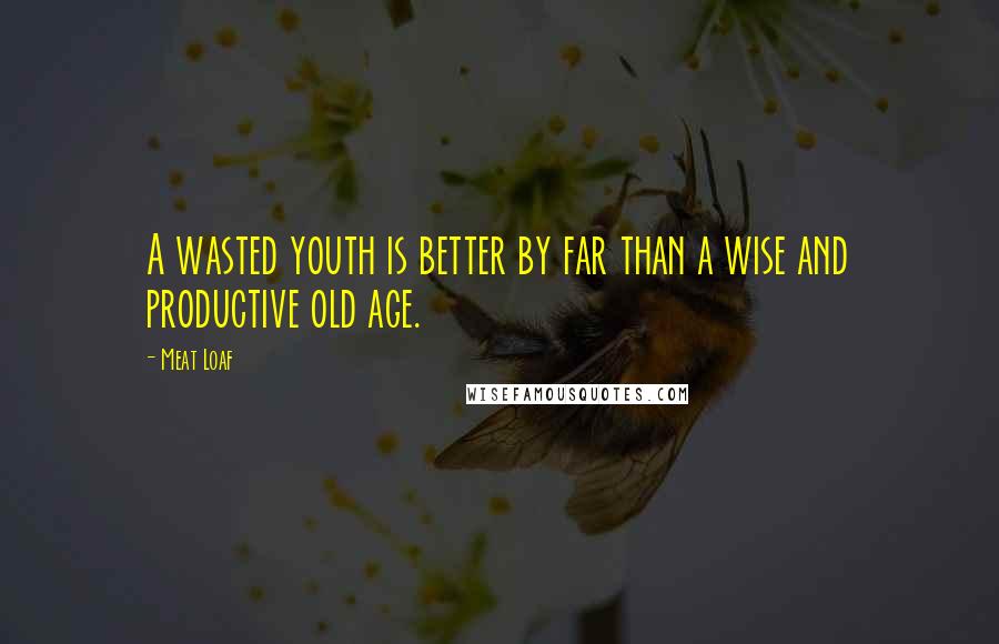 Meat Loaf Quotes: A wasted youth is better by far than a wise and productive old age.