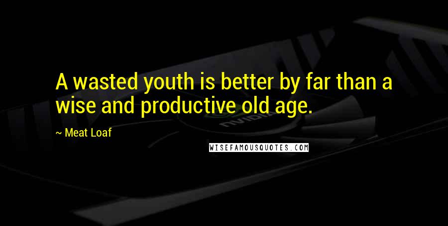 Meat Loaf Quotes: A wasted youth is better by far than a wise and productive old age.