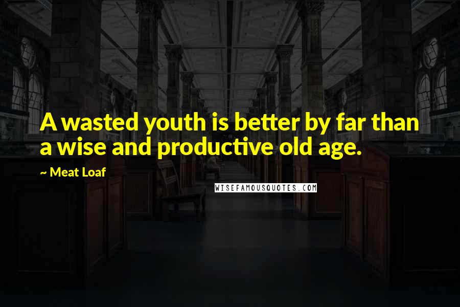 Meat Loaf Quotes: A wasted youth is better by far than a wise and productive old age.