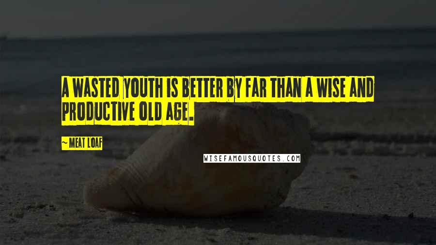 Meat Loaf Quotes: A wasted youth is better by far than a wise and productive old age.