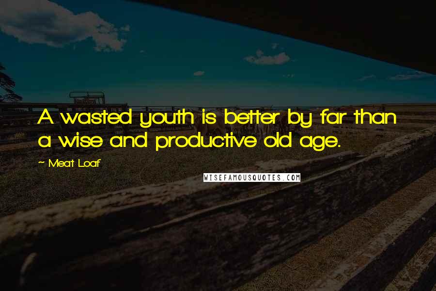 Meat Loaf Quotes: A wasted youth is better by far than a wise and productive old age.