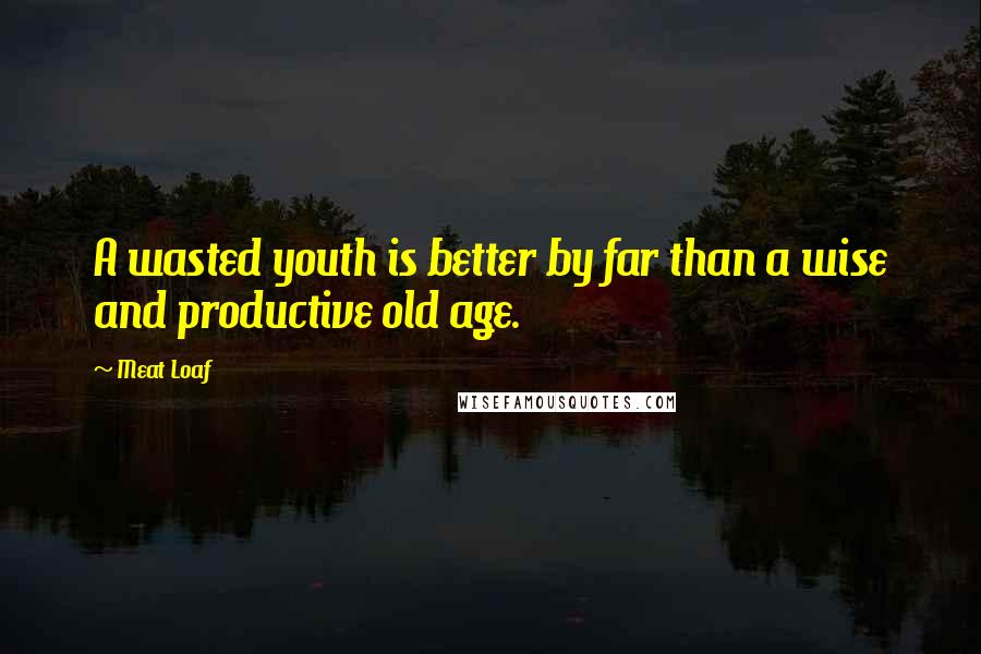 Meat Loaf Quotes: A wasted youth is better by far than a wise and productive old age.