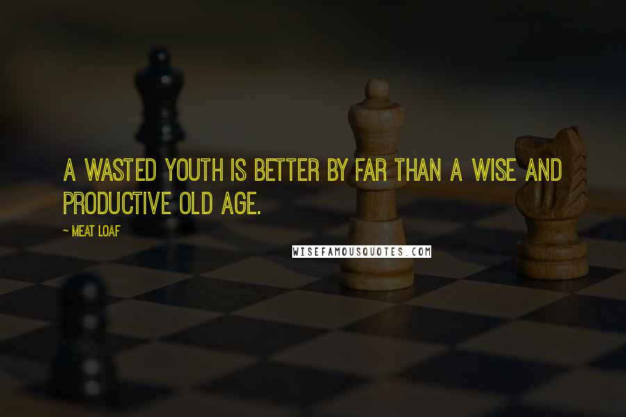 Meat Loaf Quotes: A wasted youth is better by far than a wise and productive old age.