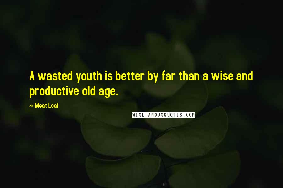 Meat Loaf Quotes: A wasted youth is better by far than a wise and productive old age.