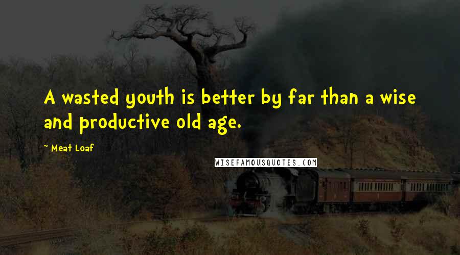 Meat Loaf Quotes: A wasted youth is better by far than a wise and productive old age.