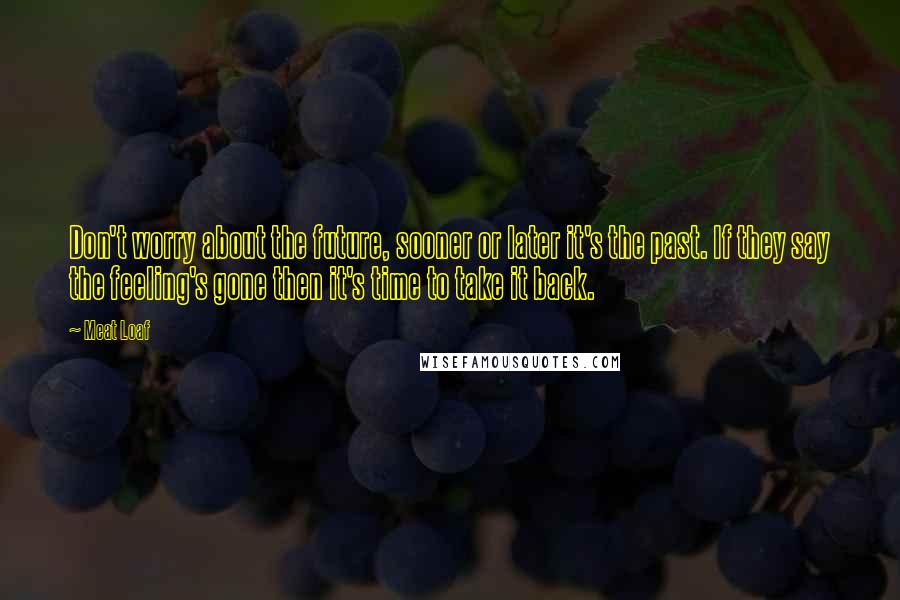 Meat Loaf Quotes: Don't worry about the future, sooner or later it's the past. If they say the feeling's gone then it's time to take it back.