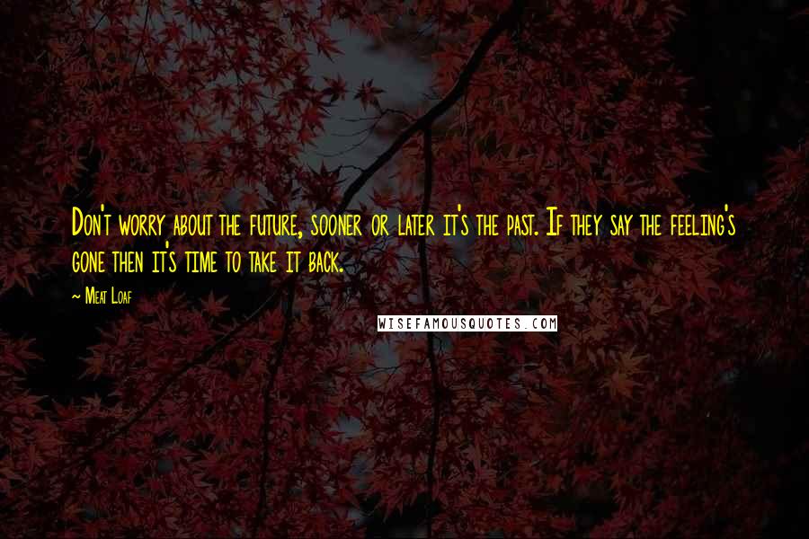 Meat Loaf Quotes: Don't worry about the future, sooner or later it's the past. If they say the feeling's gone then it's time to take it back.