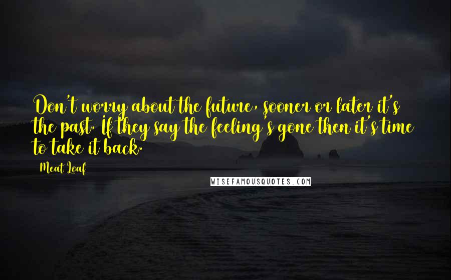 Meat Loaf Quotes: Don't worry about the future, sooner or later it's the past. If they say the feeling's gone then it's time to take it back.