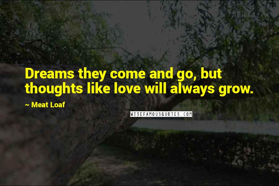 Meat Loaf Quotes: Dreams they come and go, but thoughts like love will always grow.