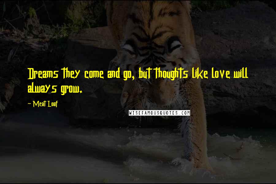 Meat Loaf Quotes: Dreams they come and go, but thoughts like love will always grow.