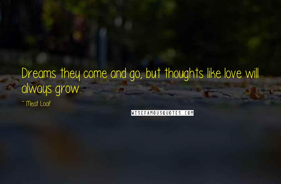 Meat Loaf Quotes: Dreams they come and go, but thoughts like love will always grow.