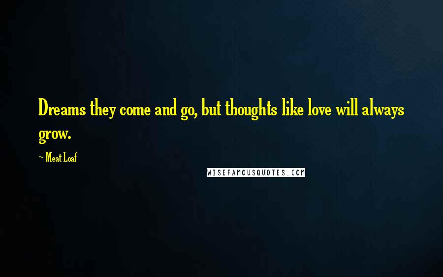 Meat Loaf Quotes: Dreams they come and go, but thoughts like love will always grow.