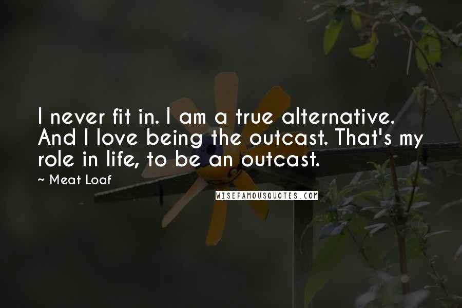 Meat Loaf Quotes: I never fit in. I am a true alternative. And I love being the outcast. That's my role in life, to be an outcast.