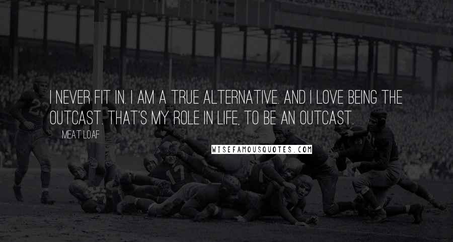 Meat Loaf Quotes: I never fit in. I am a true alternative. And I love being the outcast. That's my role in life, to be an outcast.