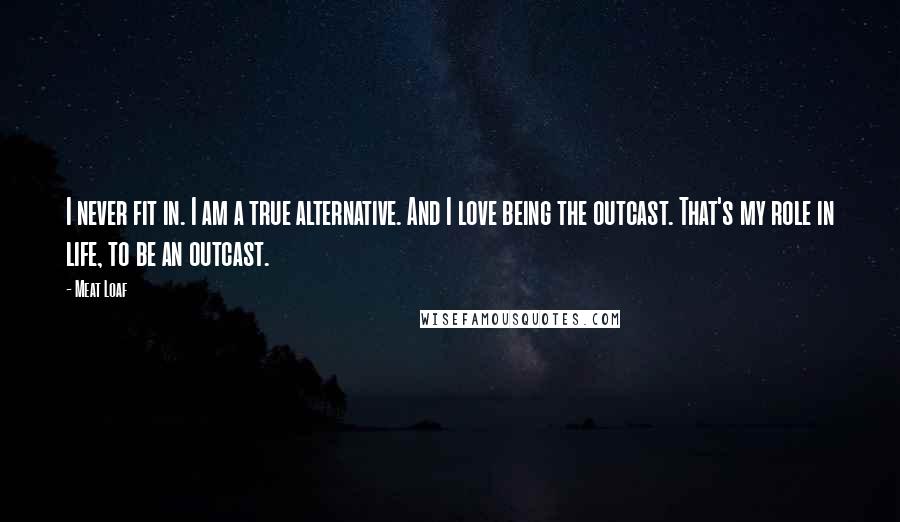 Meat Loaf Quotes: I never fit in. I am a true alternative. And I love being the outcast. That's my role in life, to be an outcast.