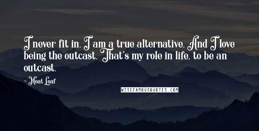 Meat Loaf Quotes: I never fit in. I am a true alternative. And I love being the outcast. That's my role in life, to be an outcast.