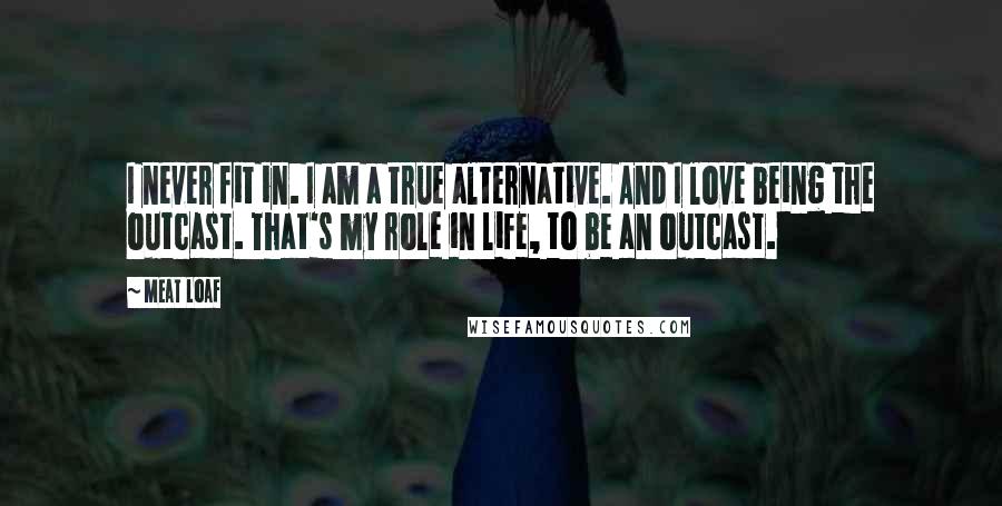 Meat Loaf Quotes: I never fit in. I am a true alternative. And I love being the outcast. That's my role in life, to be an outcast.