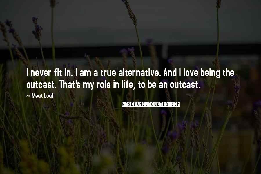 Meat Loaf Quotes: I never fit in. I am a true alternative. And I love being the outcast. That's my role in life, to be an outcast.