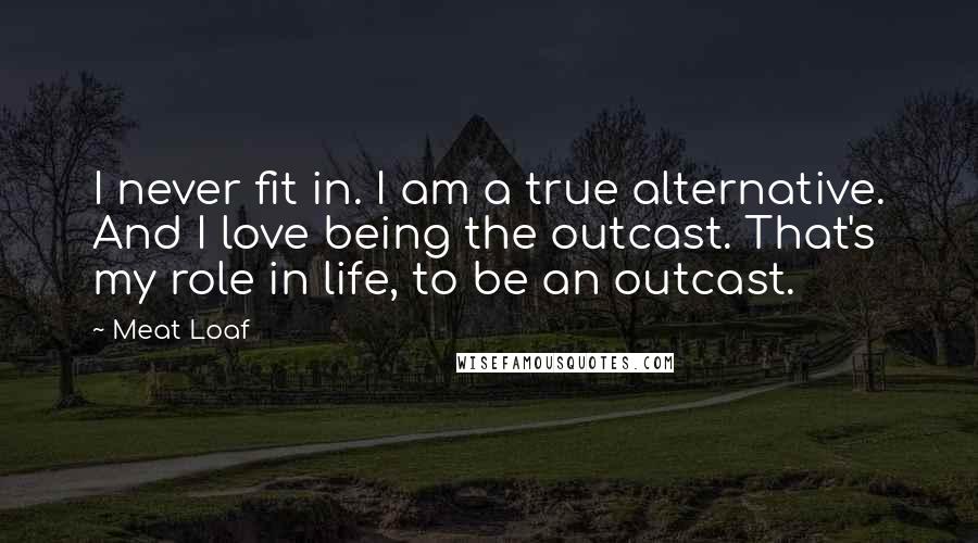 Meat Loaf Quotes: I never fit in. I am a true alternative. And I love being the outcast. That's my role in life, to be an outcast.